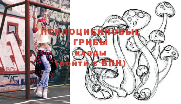 дмт Абинск
