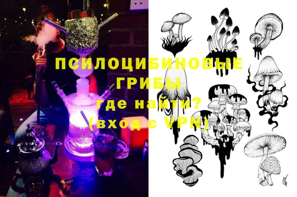 герыч Шали
