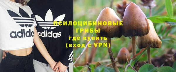 а пвп мука Чегем