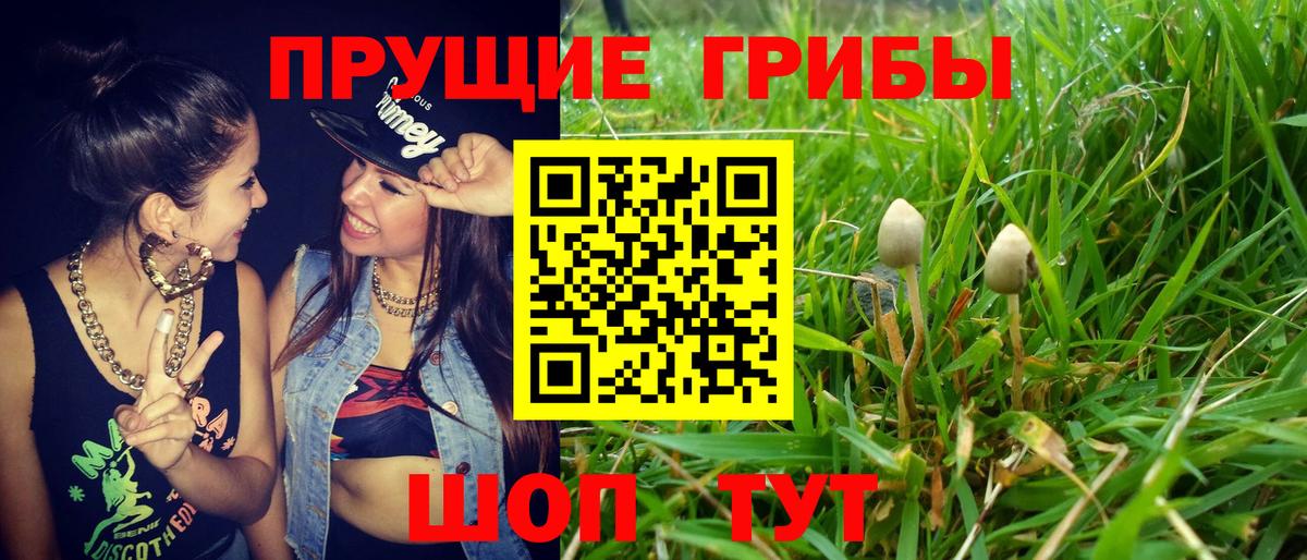 Псилоцибиновые грибы прущие грибы Южноуральск
