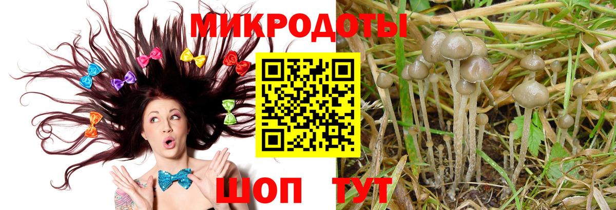 Псилоцибиновые грибы ЛСД  Вход с VPN  Южноуральск 